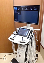 超音波診断装置<br />
          LOGIQ P10
